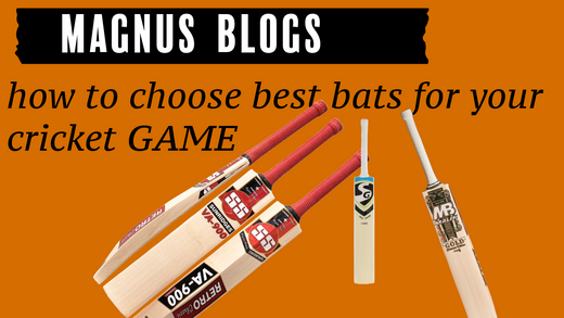 How to choose best bats for your cricket GAME