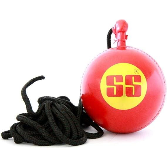 SS Hanging Balls